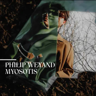 Myosotis by Philip Weyand