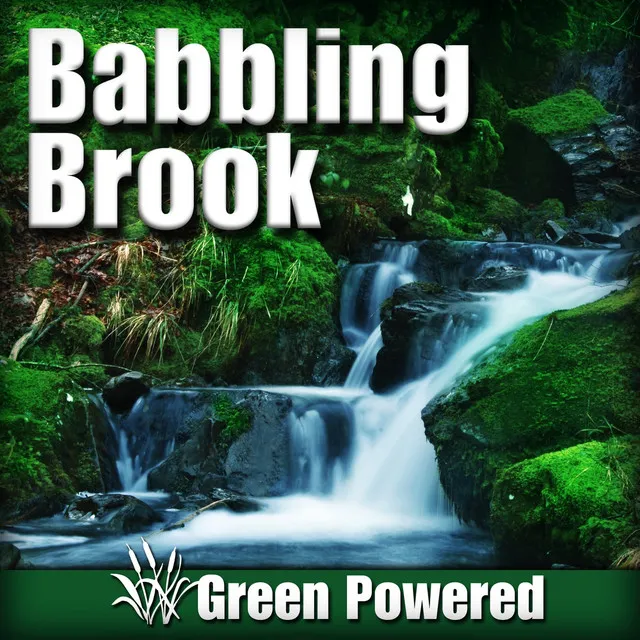 Babbling Brook (Nature Sound)