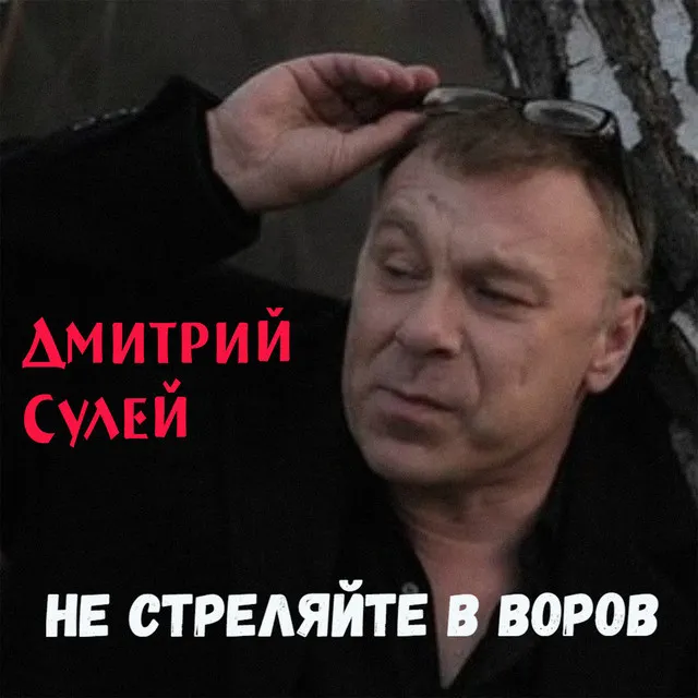 Не стреляйте в Воров