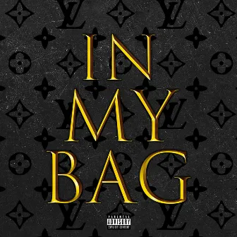 IN MY BAG by Yogi Krice