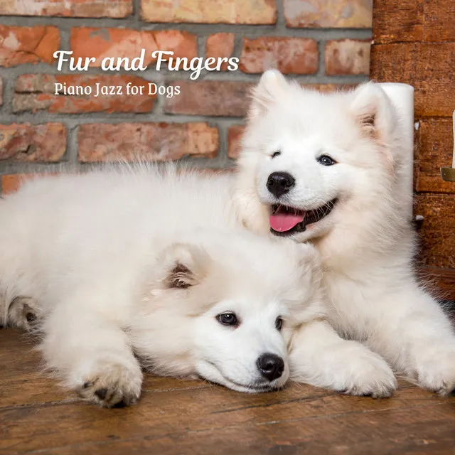 Fur and Fingers: Piano Jazz for Dogs