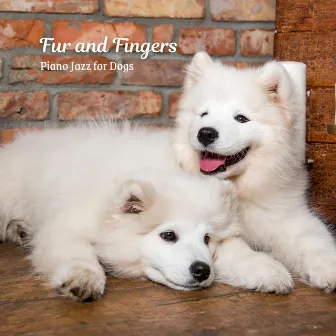 Fur and Fingers: Piano Jazz for Dogs by Dinner Party Jazz Radio