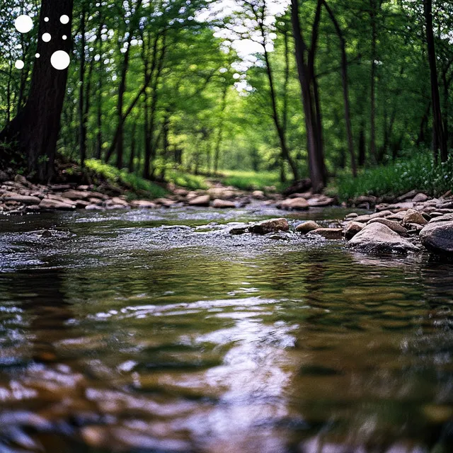 Serene Shoreline Murmurs