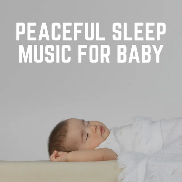 Baby Sleeping Music for Peaceful Dreaming, Pt. 17