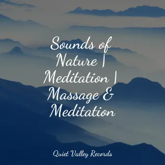 Sounds of Nature | Meditation | Massage & Meditation by Asian Zen Spa Music Meditation