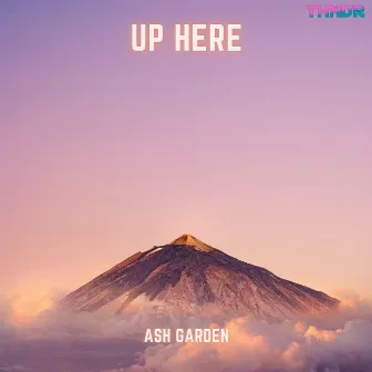 Up Here by Ash Garden