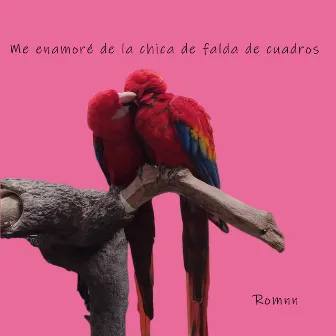 Me Enamoré de la Chica de Falda de Cuadros by Romnn