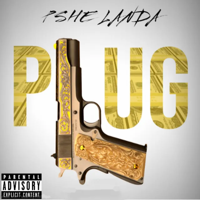 Plug