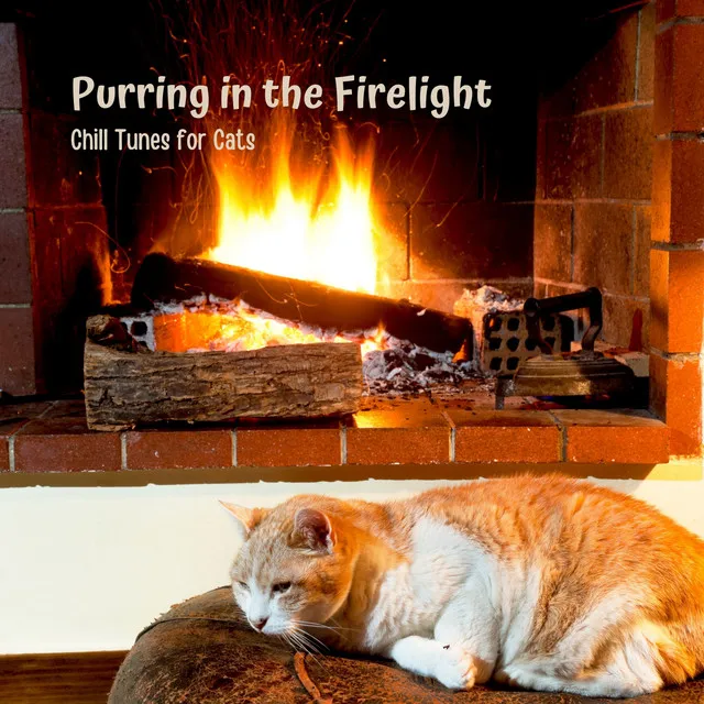 Purring in the Firelight: Chill Tunes for Cats