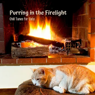 Purring in the Firelight: Chill Tunes for Cats by Sunrise Flames Fire Sounds