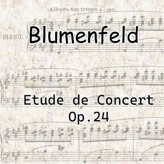 Etude De Concert in F-Sharp Minor, Op.24 by Felix Blumenfeld