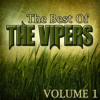 The Best Of The Vipers Volume 1 by The Vipers