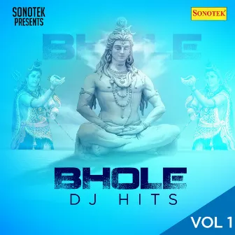 Bhole DJ Hits Vol 1 by 