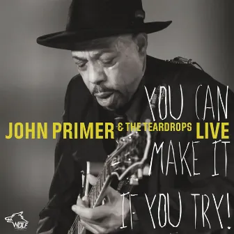 You Can Make It If You Try by John Primer