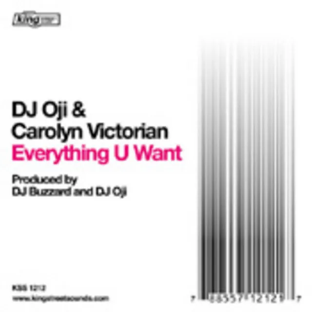 Everything U Want - Demo Mix