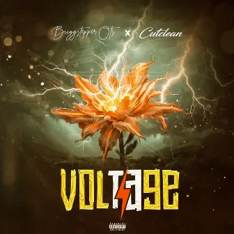 Voltage by Cutclean