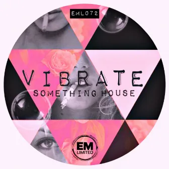 Something House by Vibrate