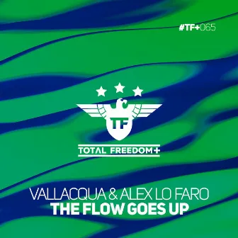 The Flow Goes Up by Vallacqua