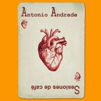 Sesiones de Café by Antonio Andrade