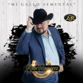 Mi Gallo Semental by Alex Ramirez Y Su Grupo Profetas