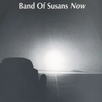 Now by Band Of Susans