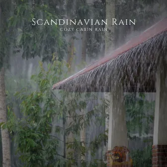 Cozy Cabin Rain by Scandinavian Rain