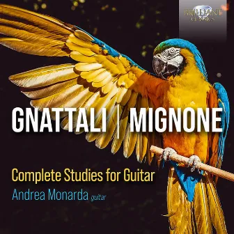 Gnattali, Mignone: Complete Studies for Guitar by Andrea Monarda