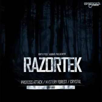 Protoss Attack by RaZoRTeK