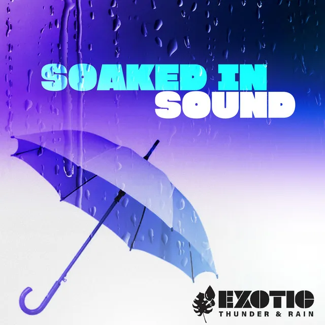 Soaked in Sound