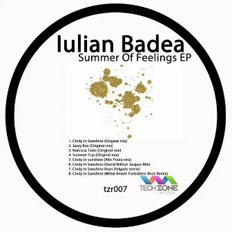 Summer Of Feelings EP by Iulian Badea