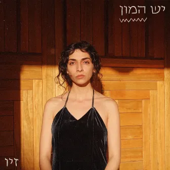 יש המון by זיו