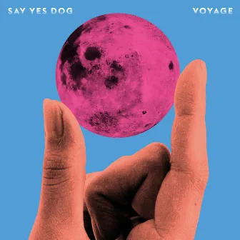 Voyage by Say Yes Dog