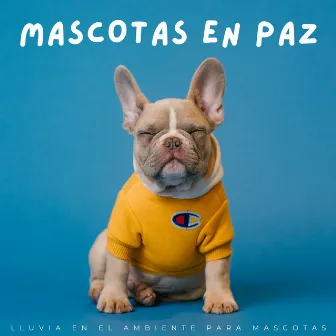 Mascotas En Paz: Lluvia En El Ambiente Para Mascotas by Nación Lofi Hip Hop