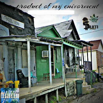 Product of My Enivroment by Smoke 1