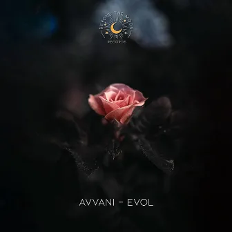 Evol by Avvani