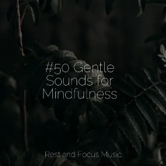 #50 Gentle Sounds for Mindfulness by Massagem Coleção de Músicas