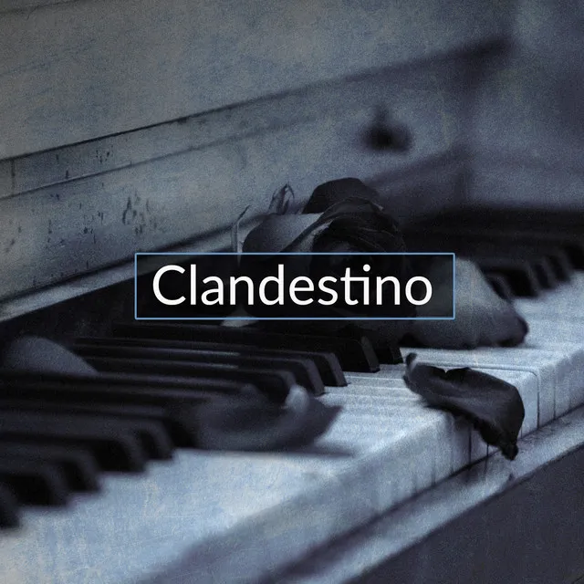 Clandestino - Flute Version