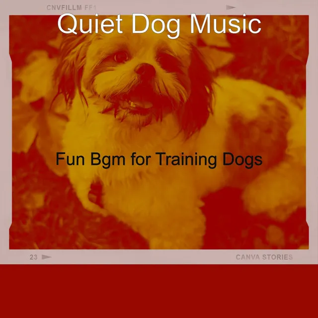 Fun Bgm for Training Dogs