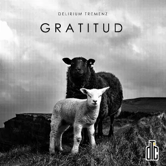 Gratitud by Delirium Tremenz