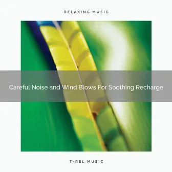 Careful Noise and Wind Blows For Soothing Recharge by Soothing Senses Noise