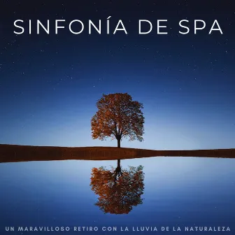 Sinfonía De Spa: Un Maravilloso Retiro Con La Lluvia De La Naturaleza by Ritmos Lofi Hop-Hop