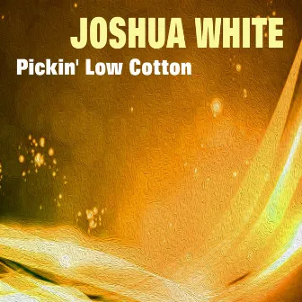 Pickin' Low Cotton by Joshua White