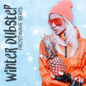 Winter Dubstep: Frostwave Beats for Winter Nights by Dj Dub FX