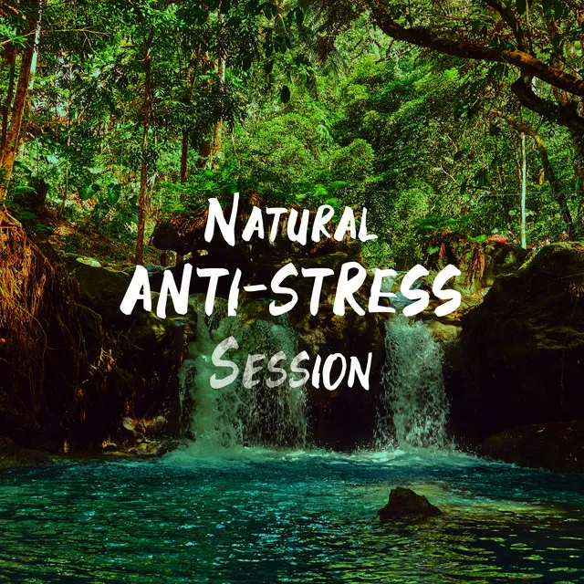 Natural Anti-Stress Session: Forest, Instrumental Music, Rest and Relaxation