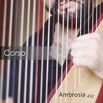 Ambrosia 432 by Corso