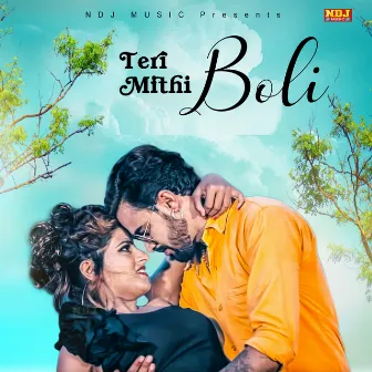 Teri Mithi Boli by Sonu Garanpuria