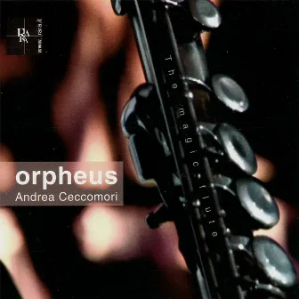 Orpheus by Andrea Ceccomori