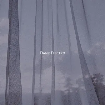 Dank Electro by Dank