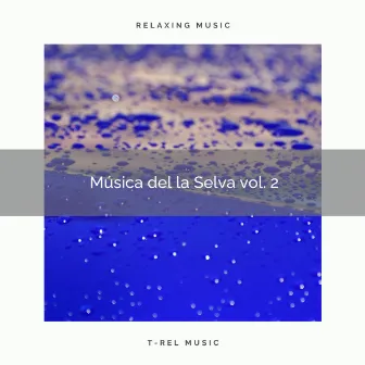 1 Música de la Selva vol. 2 by Pajaritos Cantando