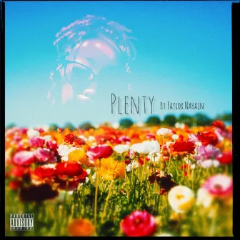 Plenty by Taylor Narain